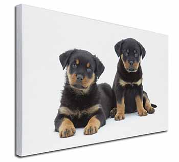 Rottweiler Puppies Canvas X-Large 30"x20" Wall Art Print