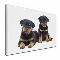 Rottweiler Puppies Canvas X-Large 30"x20" Wall Art Print