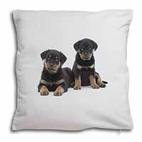 Rottweiler Puppies Soft White Velvet Feel Scatter Cushion