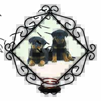 Rottweiler Puppies Wrought Iron Wall Art Candle Holder