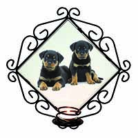 Rottweiler Puppies Wrought Iron Wall Art Candle Holder