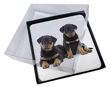 4x Rottweiler Puppies Picture Table Coasters Set in Gift Box