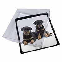 4x Rottweiler Puppies Picture Table Coasters Set in Gift Box