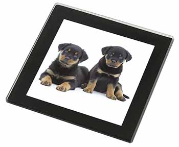 Rottweiler Puppies Black Rim High Quality Glass Coaster