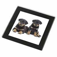 Rottweiler Puppies Black Rim High Quality Glass Coaster