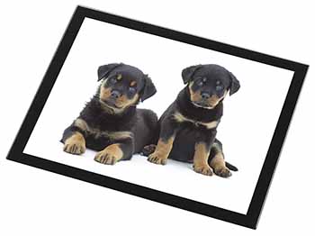 Rottweiler Puppies Black Rim High Quality Glass Placemat