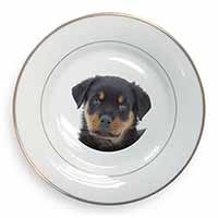 Rottweiler Puppies Gold Rim Plate Printed Full Colour in Gift Box