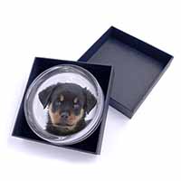 Rottweiler Puppies Glass Paperweight in Gift Box