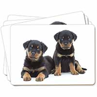 Rottweiler Puppies Picture Placemats in Gift Box