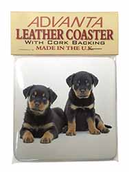 Rottweiler Puppies Single Leather Photo Coaster