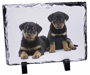 Rottweiler Puppies, Stunning Photo Slate