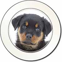 Rottweiler Puppies Car or Van Permit Holder/Tax Disc Holder
