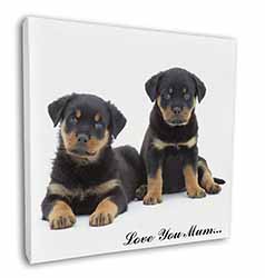 Rottweiler Puppies 