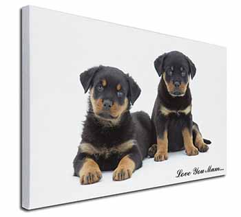 Rottweiler Puppies 