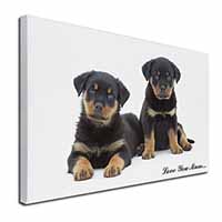 Rottweiler Puppies 