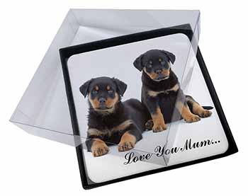 4x Rottweiler Puppies 