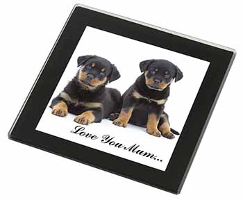 Rottweiler Puppies 