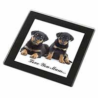 Rottweiler Puppies 