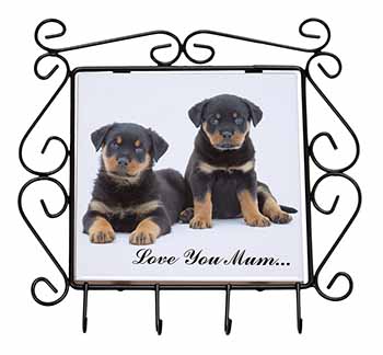 Rottweiler Puppies 