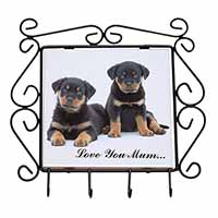 Rottweiler Puppies 