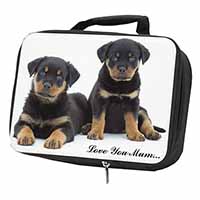 Rottweiler Puppies 