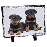 Rottweiler Puppies 