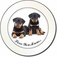 Rottweiler Puppies 