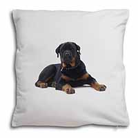 Rottweiler Dog Soft White Velvet Feel Scatter Cushion