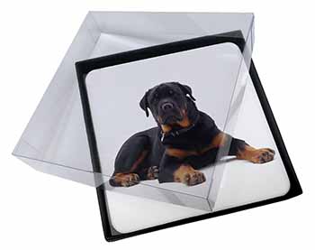 4x Rottweiler Dog Picture Table Coasters Set in Gift Box