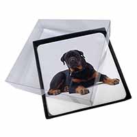 4x Rottweiler Dog Picture Table Coasters Set in Gift Box