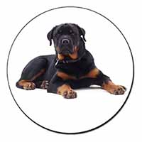 Rottweiler Dog Fridge Magnet Printed Full Colour