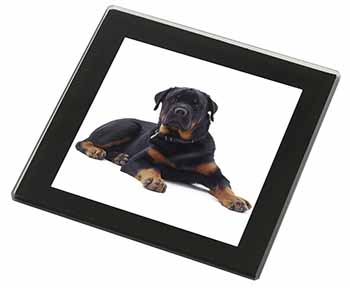 Rottweiler Dog Black Rim High Quality Glass Coaster