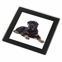 Rottweiler Dog Black Rim High Quality Glass Coaster