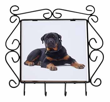 Rottweiler Dog Wrought Iron Key Holder Hooks