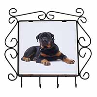 Rottweiler Dog Wrought Iron Key Holder Hooks