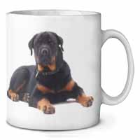 Rottweiler Dog Ceramic 10oz Coffee Mug/Tea Cup
