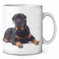 Rottweiler Dog Ceramic Coffee Mug/Tea Cup