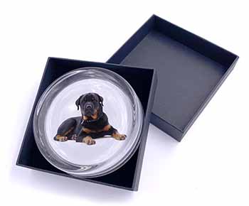 Rottweiler Dog Glass Paperweight in Gift Box