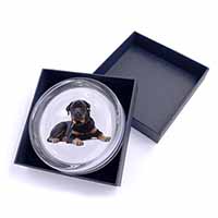 Rottweiler Dog Glass Paperweight in Gift Box
