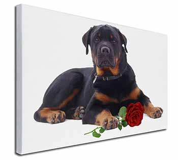 Rottweiler Dog with a Red Rose Canvas X-Large 30"x20" Wall Art Print