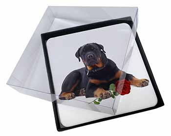 4x Rottweiler Dog with a Red Rose Picture Table Coasters Set in Gift Box