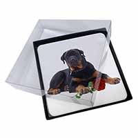 4x Rottweiler Dog with a Red Rose Picture Table Coasters Set in Gift Box