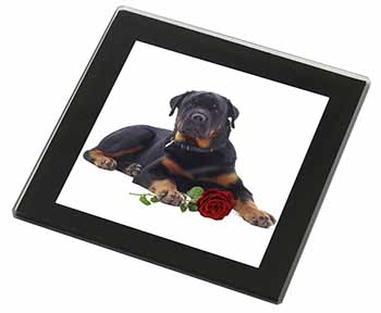 Rottweiler Dog with a Red Rose Black Rim High Quality Glass Coaster