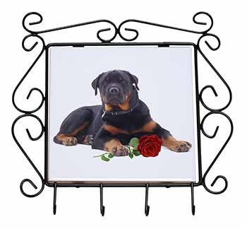 Rottweiler Dog with a Red Rose Wrought Iron Key Holder Hooks