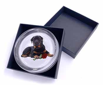 Rottweiler Dog with a Red Rose Glass Paperweight in Gift Box