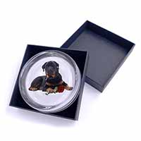 Rottweiler Dog with a Red Rose Glass Paperweight in Gift Box