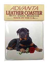 Rottweiler Dog with a Red Rose Single Leather Photo Coaster