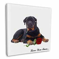 Rottweiler+Rose 