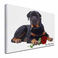 Rottweiler+Rose 