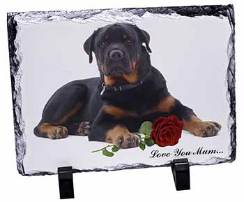 Rottweiler+Rose 